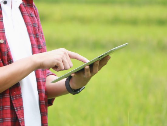 ||des impacts sur le Développement Durable ?|