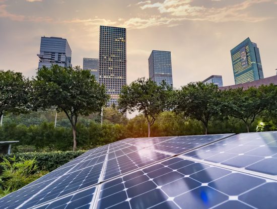 Ecocity : la ville écologique de demain - ESI Business School|||||