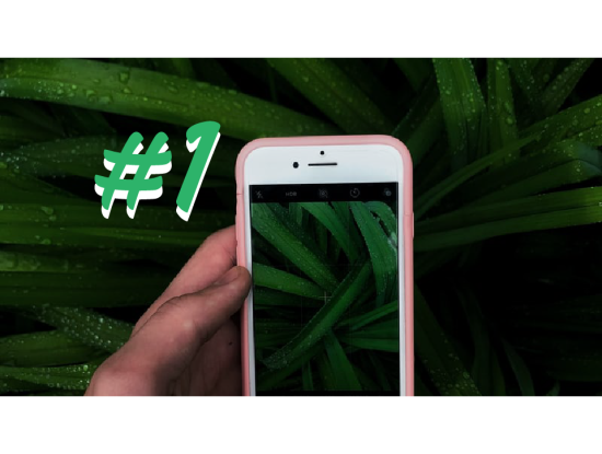 |||||||||||||||||||||||||||||||