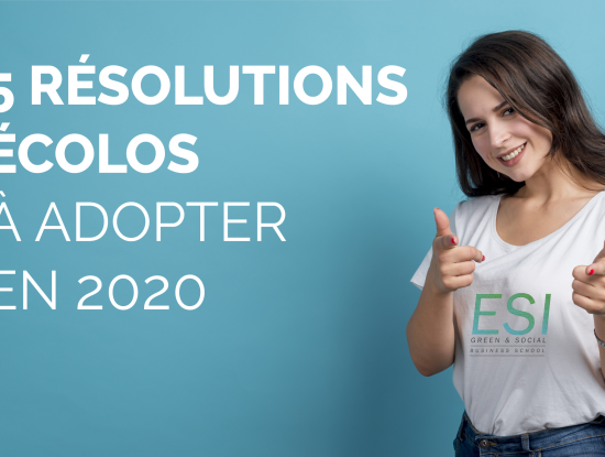 5 bonnes résolutions écolos à adopter en 2020 - ESI Business School|||||||||||||||