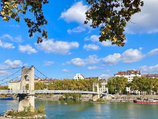 Les enjeux du développement durable à Lyon - ESI Business School||lyon-city-green|lyon-parc|lyon-city-green|lyon-city-green|lyon-city-green|lyon-city-green|lyon-parc|||||