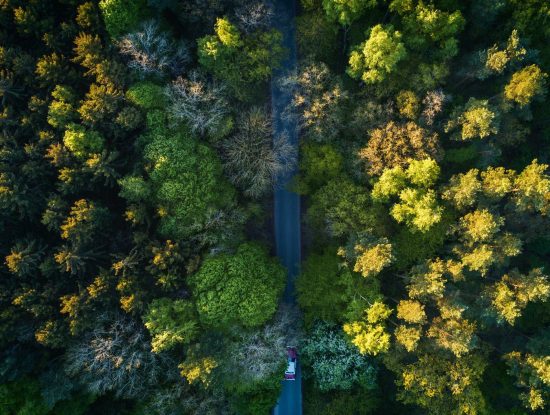 VEJA, les baskets qui respectent l’environnement