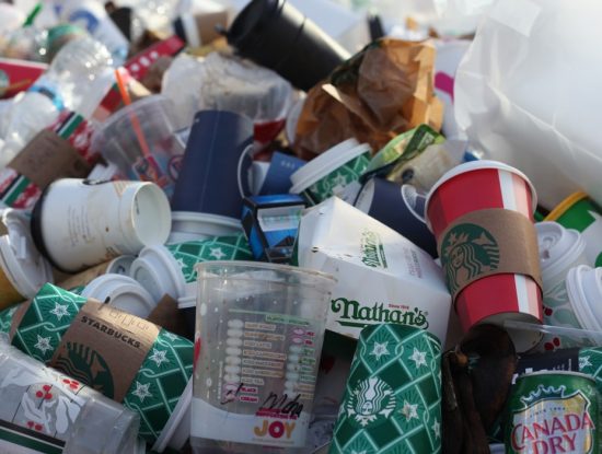 L'ESI se met au Zero Waste avec Fanny Moritz #ESICarrieresActu - ESI|||||||||