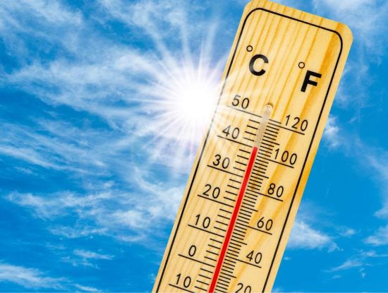 Santé, environnement : quels sont les effets de la canicule ?