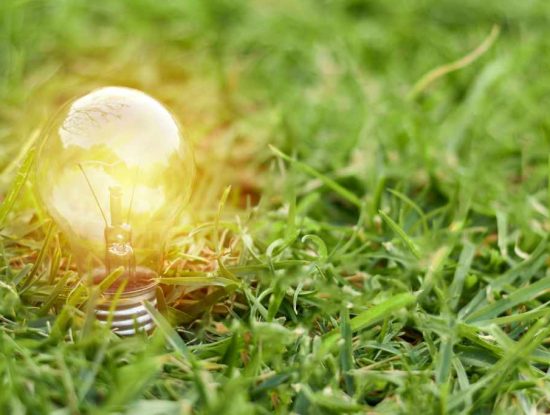 Innovations écologiques récentes : un tournant vers un avenir durable